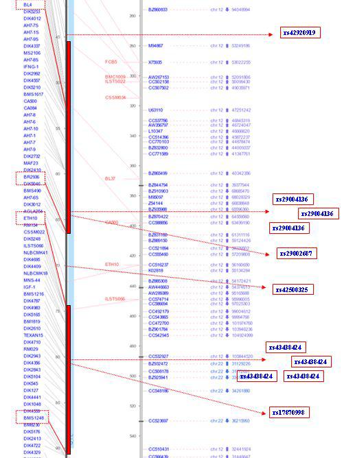 Description of QTL Region and In silico SNP map in BTA5.