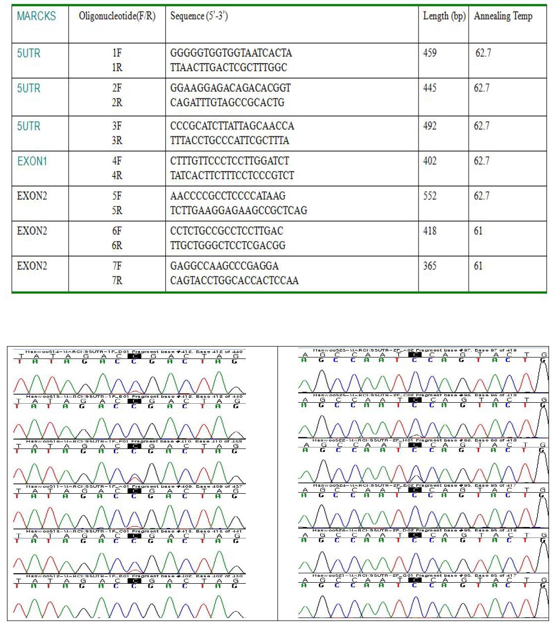 한우 품종내 MARCKS 염기서열 변이 분석