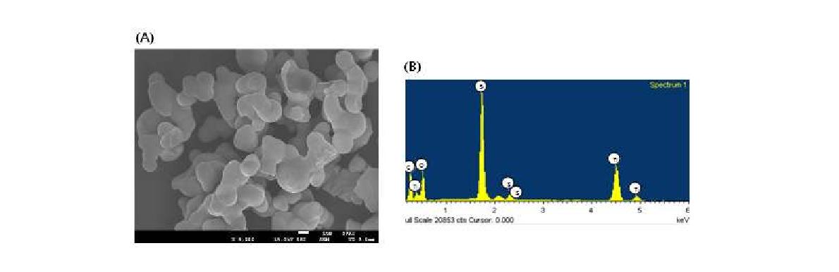 STB1 펩타이드에 의해 무기질화 된 TiO2 입자의 SEM (Scanning Electron Microscopy) image (A) 및 EDS (Energy Dispersive Spectroscopy)를 이용하여 분석한 TiO2 입자 성분 분석 (B).
