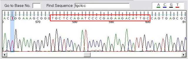 Result of sequencing