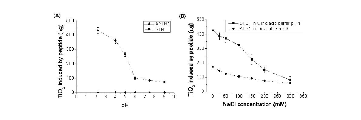 다양한 pH 및 염농도 조건에서 STB1 혹은 ASTB1에 의해 생성된 TiO2 입자의 생성량 분석