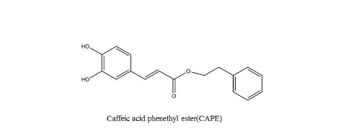 그림 2. 천연프로폴리스 활동성분 Caffeic acid phenethyl ester(CAPE)