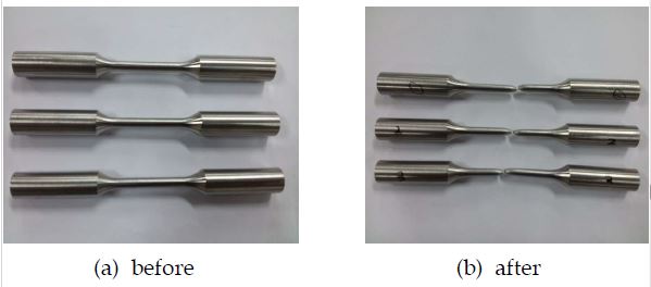 Tensile test specimen of AISI 304