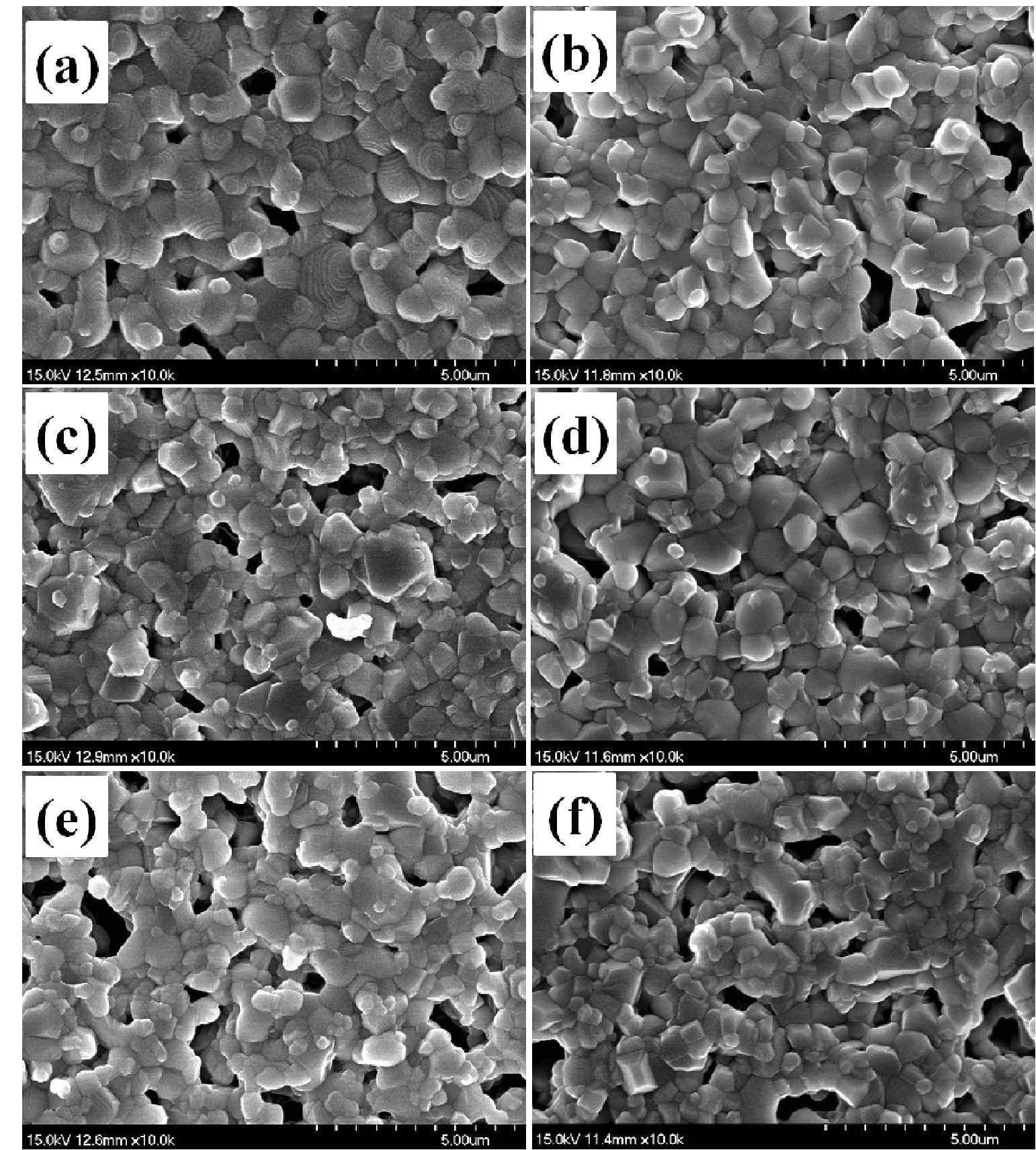 SEM images of the samples sintered at 1,400 ℃: sample (a) SO, (b) N1, (c) N2, (d) N3, (e) N4, and (f) N5.