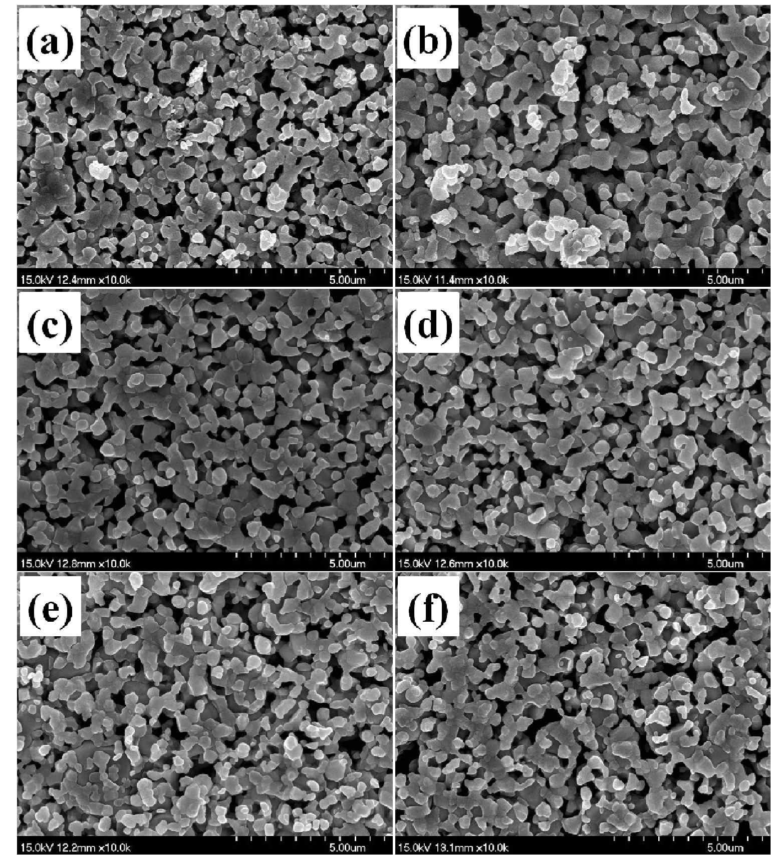 SEM images of the samples sintered at 1,300 ℃ followed by a reduction at 1,000℃: sample (a) SO, (b) N1, (c) N2, (d) N3, (e) N4, and (f) N5.