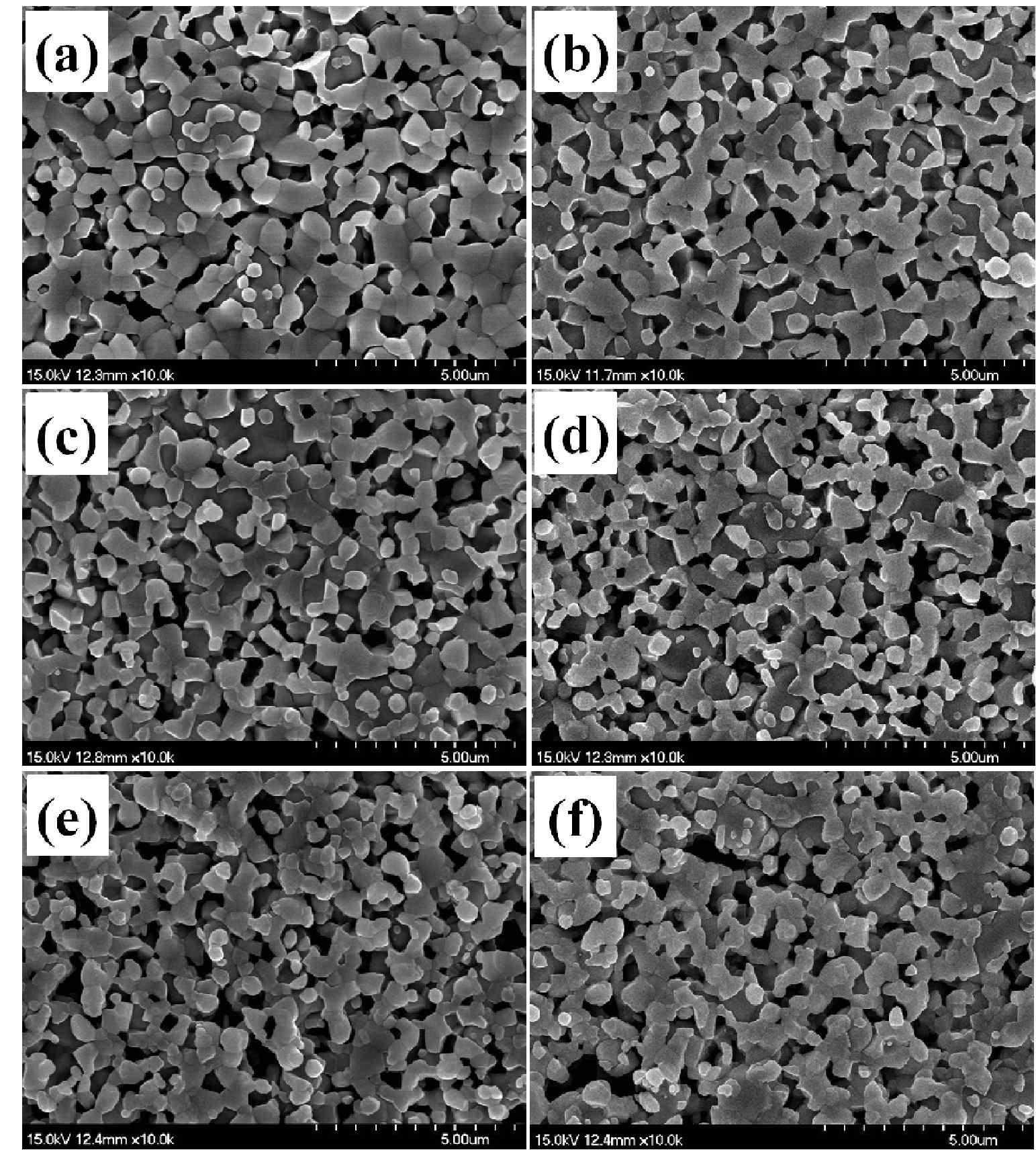 SEM images of the samples sintered at 1,350 ℃ followed by a reduction at 1,000℃: sample (a) SO, (b) N1, (c) N2, (d) N3, (e) N4, and (f) N5.