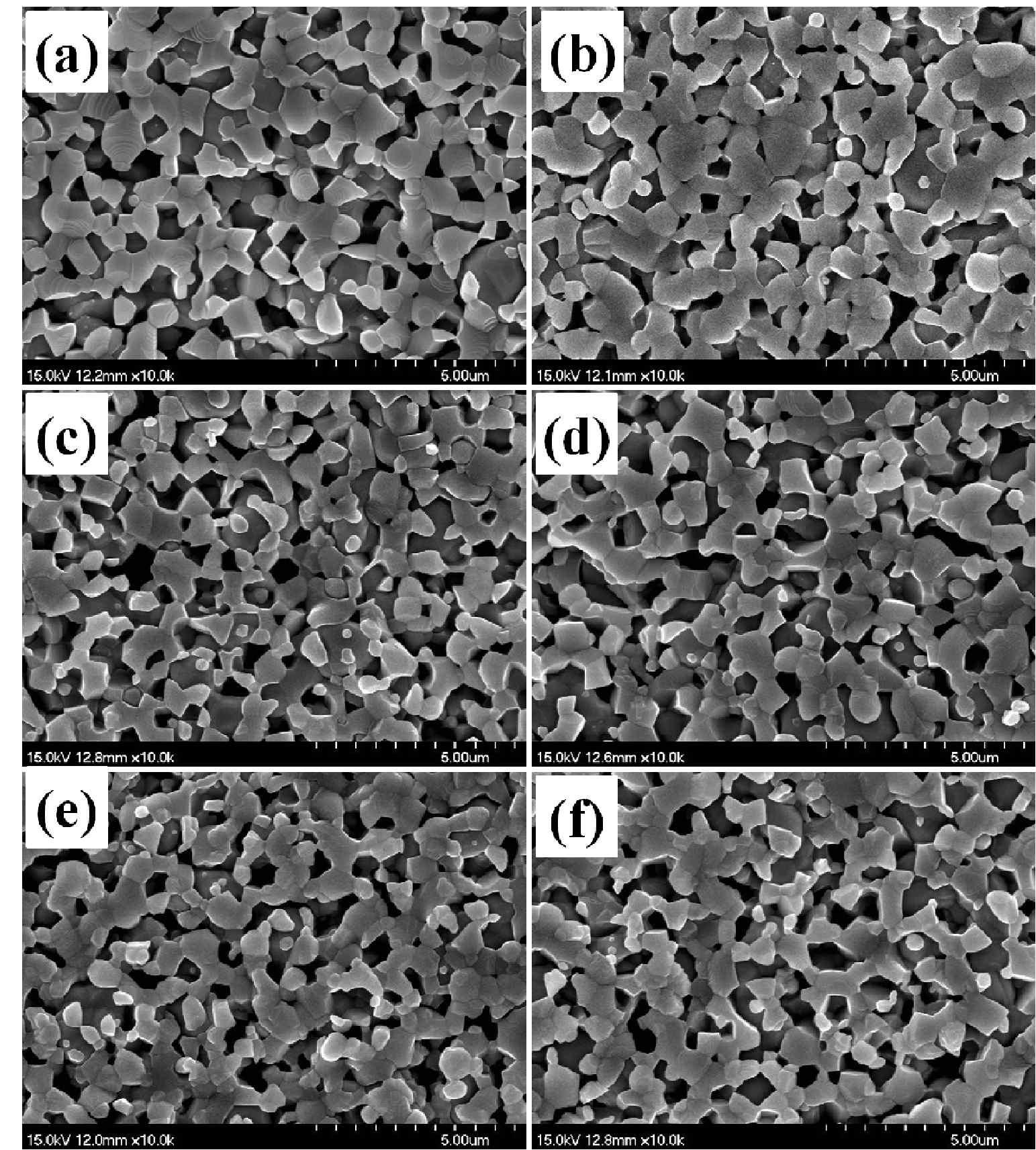 SEM images of the samples sintered at 1,400 ℃ followed by a reduction at 1,000℃: sample (a) SO, (b) N1, (c) N2, (d) N3, (e) N4, and (f) N5.