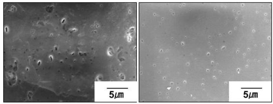 SEM views of the prepared YSZ (left: sample A and right: sample B).