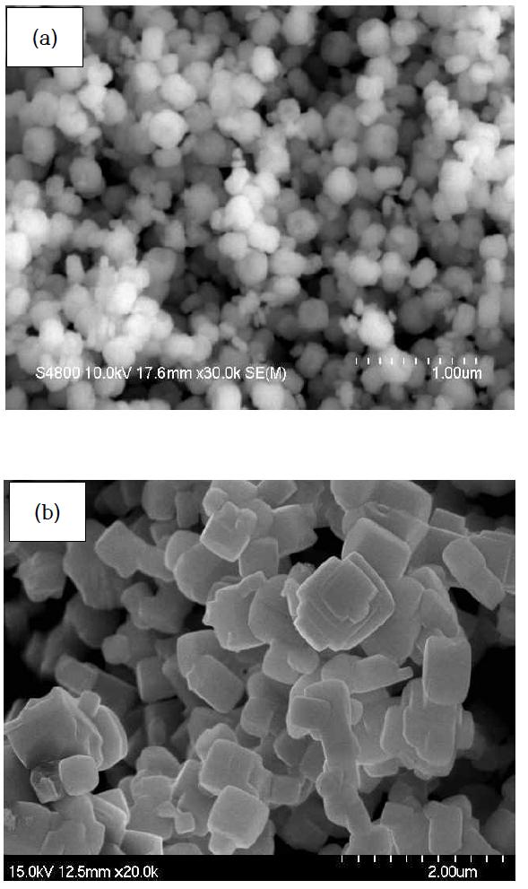 SEM images of synthesized (a) YSZ and (b) NiO powders.