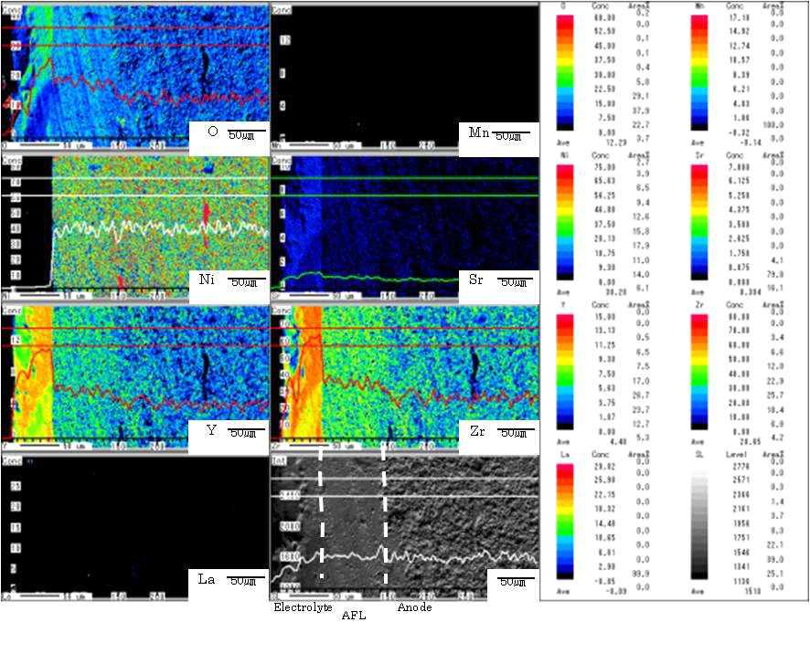 Microstructure and EPMA analysis of the AFL60_1300.