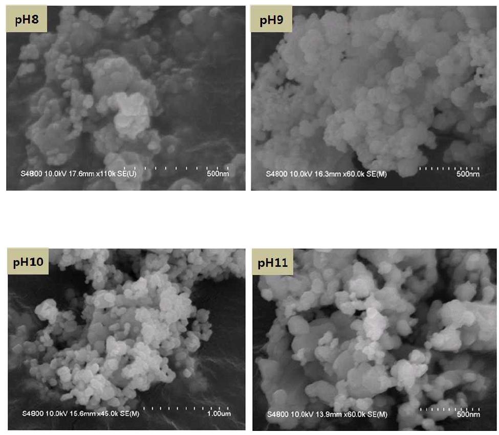 SEM images of the NiO-YSZ nanopowders synthesized in pilot-line, depending on pH.