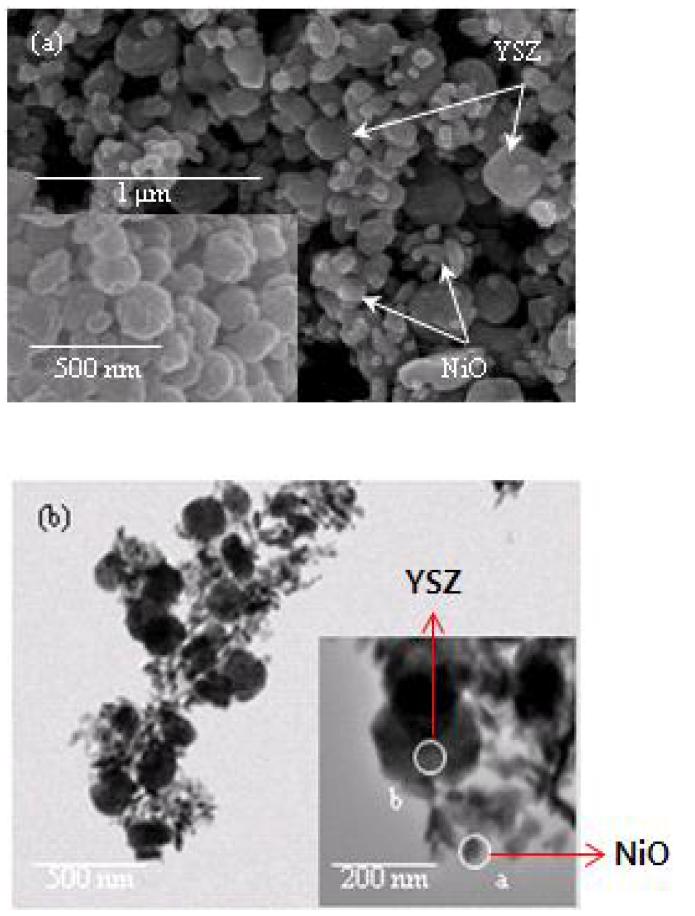 SEM and TEM images of NiO-YSZ powders fabricated by pilote-line.