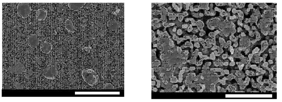 SEM images of the Sample 50AC sintered at 1,100 °C for 3 h ((a): scale bar =50 ㎛ and (b): scale bar = 10 ㎛).