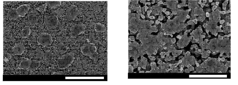 SEM images of the Sample 60AC sintered at 1,100 °C for 3 h ((a): scale bar =50 ㎛ and (b): scale bar = 10 ㎛).