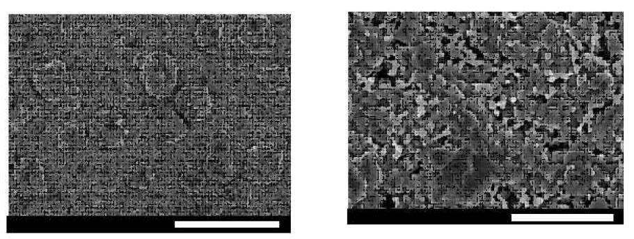 SEM images of the Sample 70AC sintered at 1,100 °C for 3 h ((a): scale bar =50 ㎛ and (b): scale bar = 10 ㎛).