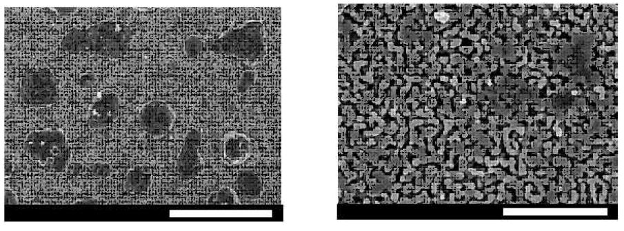 SEM images of the Sample 30AC sintered at 1,100 °C for 3 h followed byreduced at 800 °C for 3 h ((a): scale bar = 50 ㎛ and (b): scale bar = 10 ㎛).