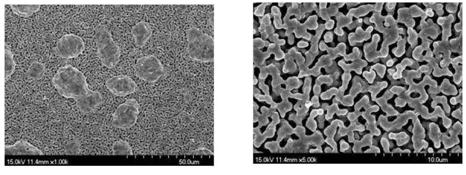SEM images of the Sample 40AC sintered at 1,100 °C for 3 h followed byreduced at 800 °C for 3 h ((a): scale bar = 50 ㎛ and (b): scale bar = 10 ㎛).