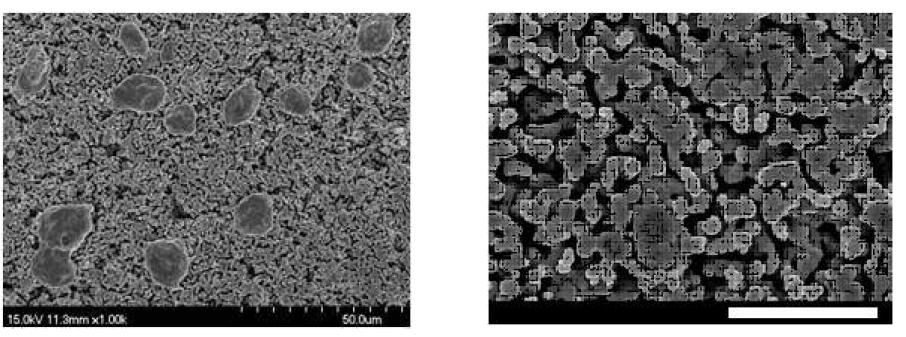 SEM images of the Sample 50AC sintered at 1,100 °C for 3 h followed byreduced at 800 °C for 3 h ((a): scale bar = 50 ㎛ and (b): scale bar = 10 ㎛).