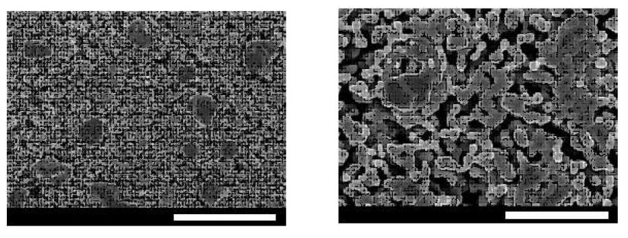 SEM images of the Sample 60AC sintered at 1,100 °C for 3 h followed byreduced at 800 °C for 3 h ((a): scale bar = 50 ㎛ and (b): scale bar = 10 ㎛).