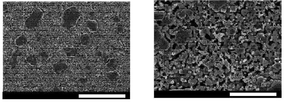 SEM images of the Sample 70AC sintered at 1,100 °C for 3 h followed byreduced at 800 °C for 3 h ((a): scale bar = 50 ㎛ and (b): scale bar = 10 ㎛).