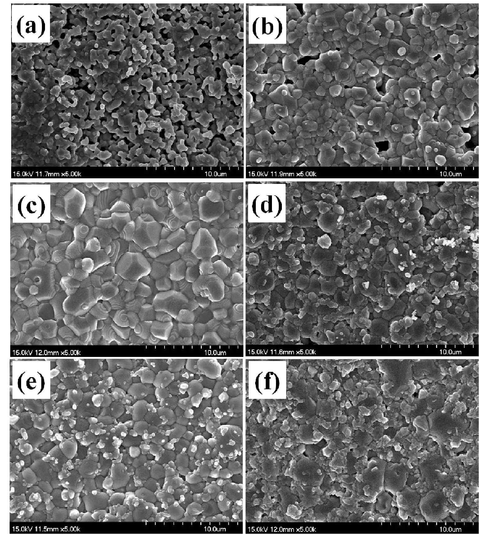 SEM images of the samples sintered at 1,300 ℃: sample (a) SO, (b) W1, (c) W2, (d) W3, (e) W4, and (f) W5.