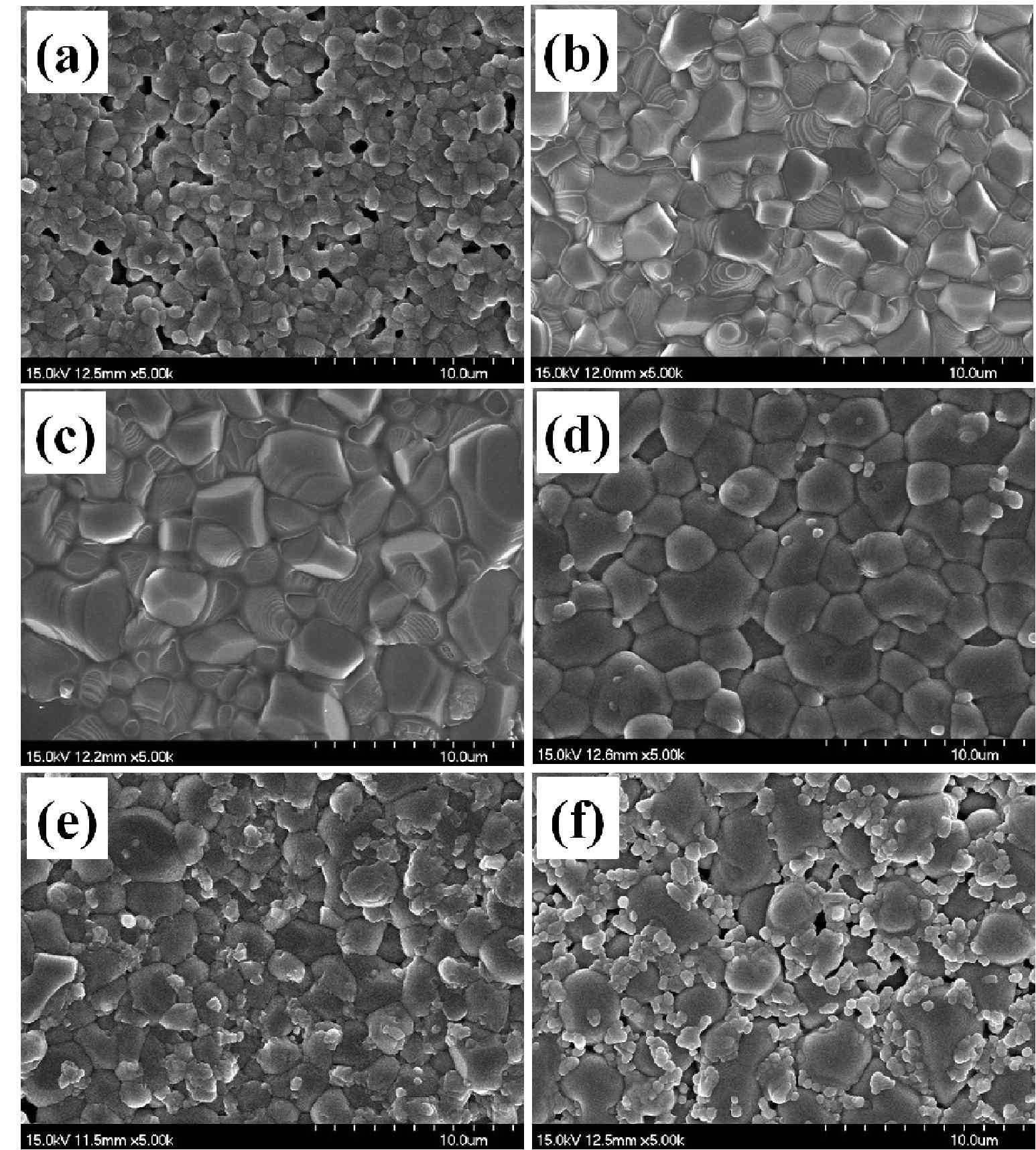 SEM images of the samples sintered at 1,400 ℃: sample (a) SO, (b) W1, (c) W2, (d) W3, (e) W4, and (f) W5.