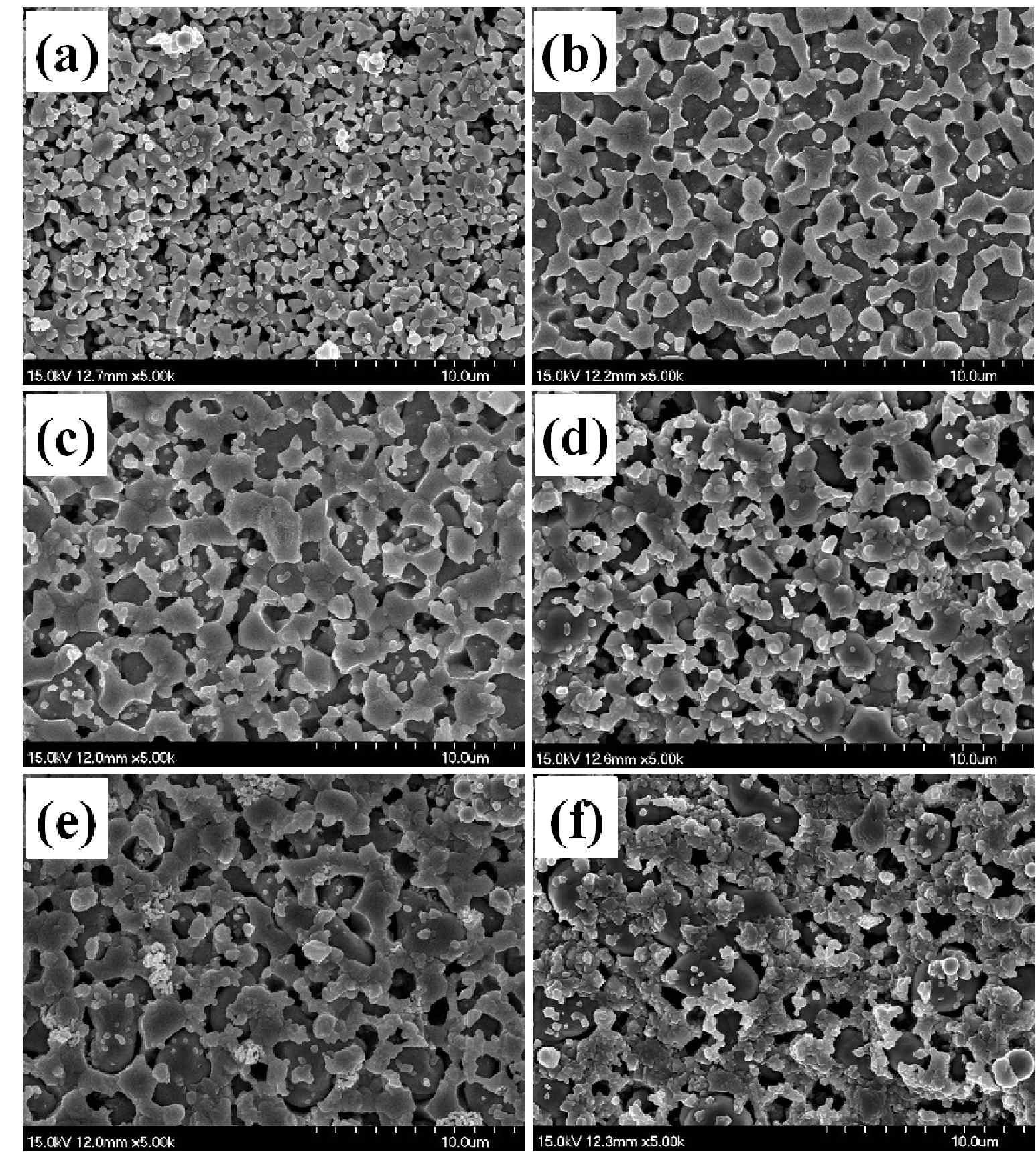 SEM images of the samples sintered at 1300 ℃ followed by a reduction at 1,000 ℃: sample (a) SO, (b) W1, (c) W2, (d) W3, (e) W4, and (f) W5.
