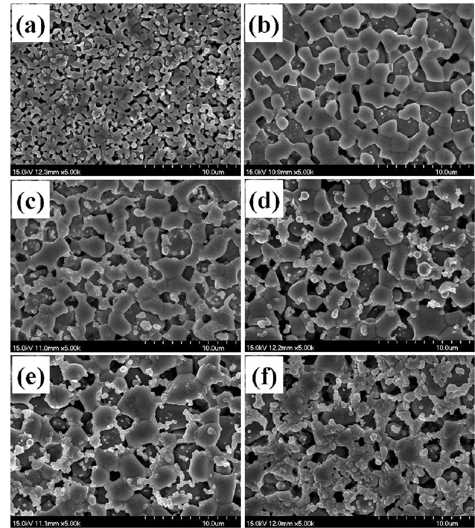 SEM images of the samples sintered at 1,350 ℃ followed by a reduction at 1,000℃: sample (a) SO, (b) W1, (c) W2, (d) W3, (e) W4, and (f) W5.