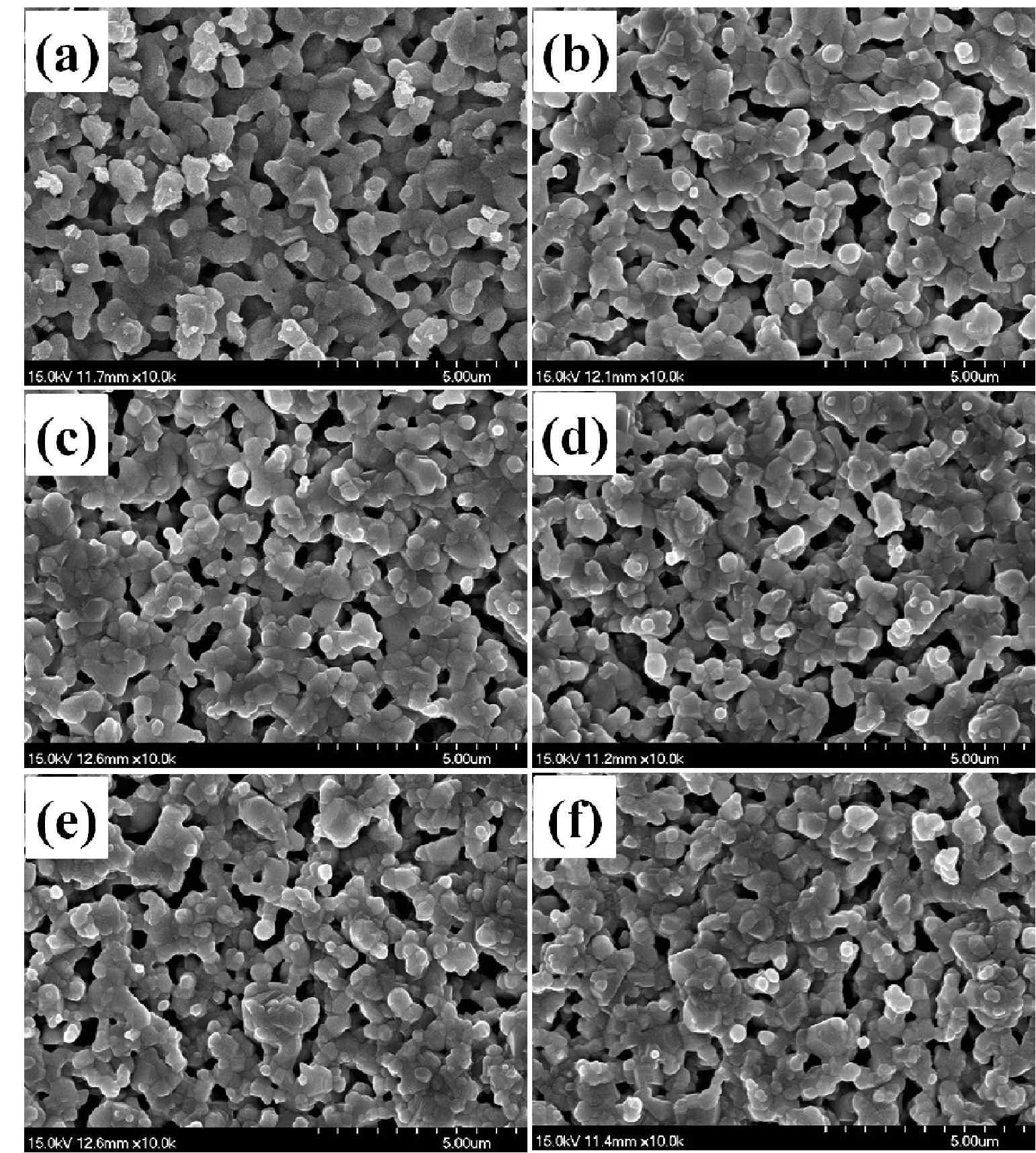SEM images of the samples sintered at 1,300 ℃: sample (a) SO, (b) N1, (c) N2, (d) N3, (e) N4, and (f) N5.