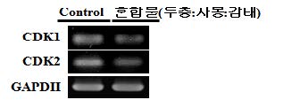 그림. 10. 두충, 자몽 및 감태 혼합물의 지방전구세포 증식 관련 전사 활성 인자 발현 억제 효과.