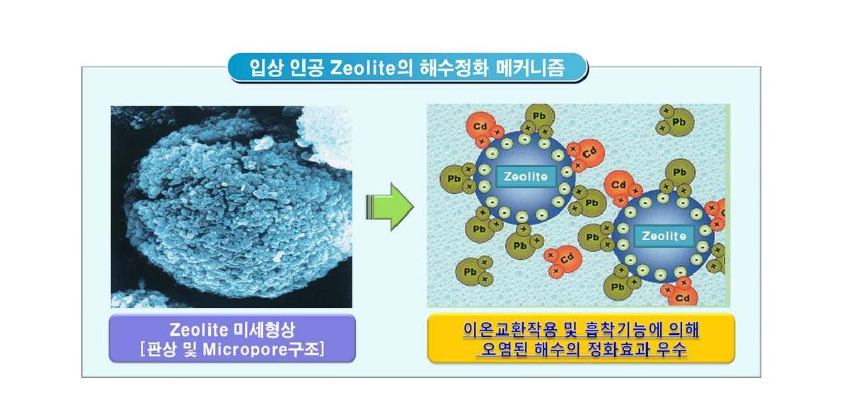 제올라이트의 해수정화 메커니즘