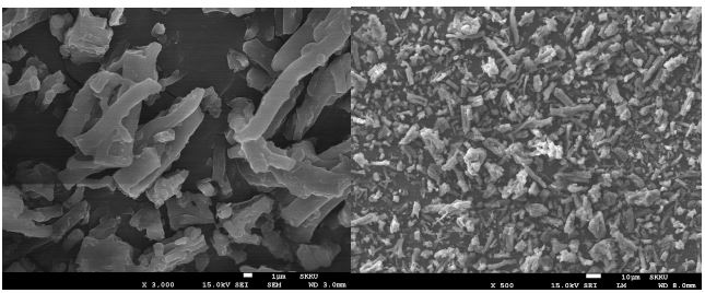 그림 3. 난각막 나노 분쇄물의 주사형 전자현미경사진(배율: 왼쪽-3,000배, 오른쪽-500배)