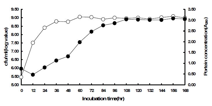 그림 4. 난각막 분해균 Bacillus licheniformis SK 045151의 증식 및 난각막 분해물 생성량.