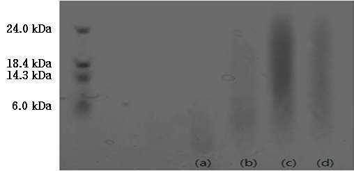 그림 5. 한외여과 장치를 이용한 난각막 가수분해 분획물의 분자량 비교.