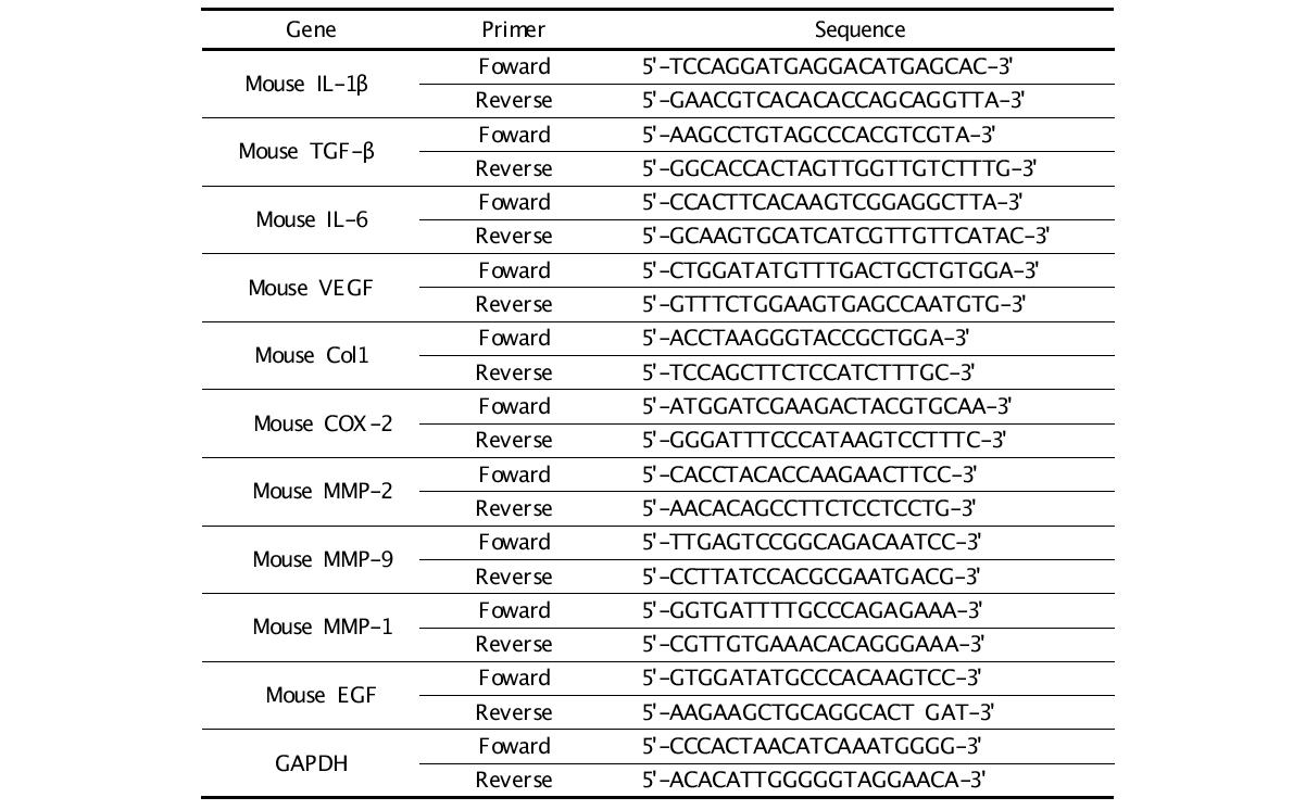 Nucleotide sequence of the primers