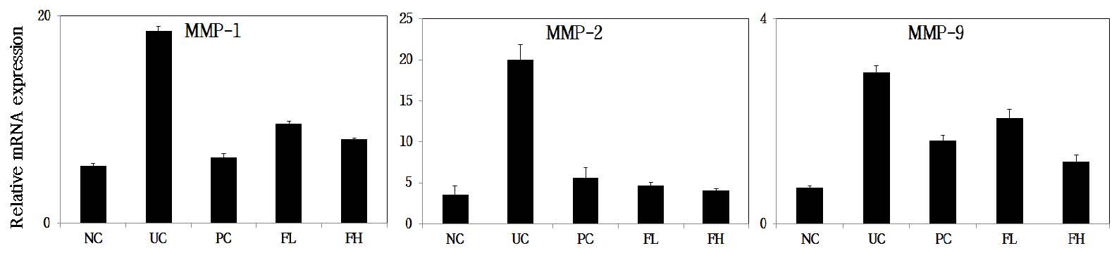 그림 24. Real-time PCR을 이용한 난각막 가수분해물의 콜라겐 분해 관련지표의 mRNA 발현에 미치는 영향 분석