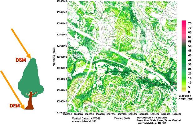 LiDAR를 이용한 산림의 밀도 분석 결과