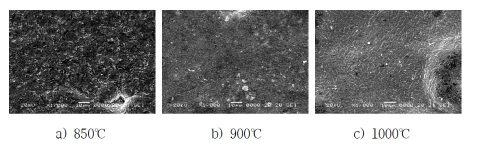 Surface morphology of coated Fe based sintered parts with coating temperature (SEM)