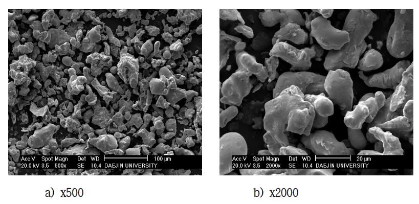 SEM morphologies of SUS 304L powders.