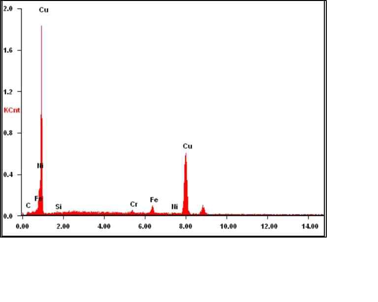 EDS results of electroless Cu-plated layer.