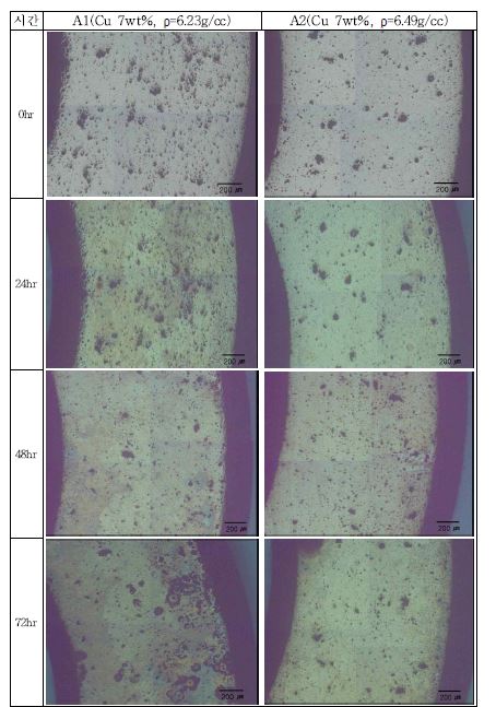 Microstructures with different salt spray corrosion test time