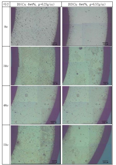 Microstructures with different salt spray corrosion test time