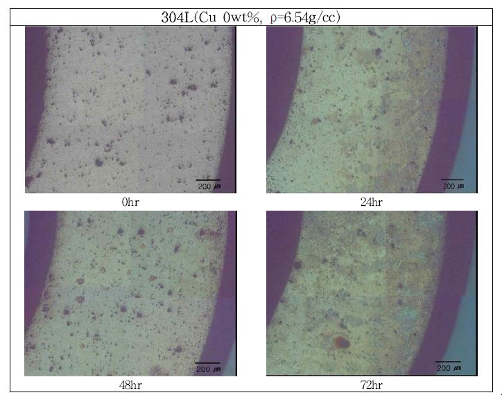 Microstructures with different salt spray corrosion test time