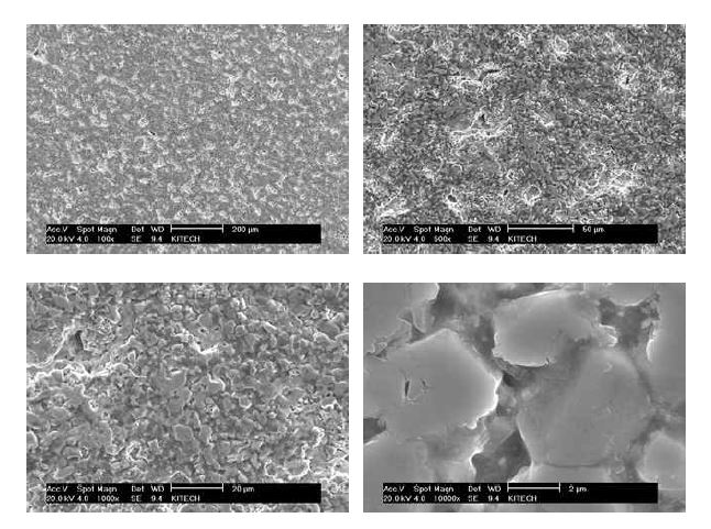 Surface morphology of sintered STS parts after chromizing