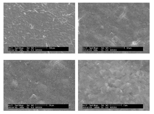 Surface morphology of chromized Fe based sintered parts