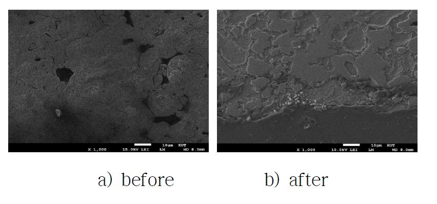 Morphology of cross section of chremized Fe based sintered parts