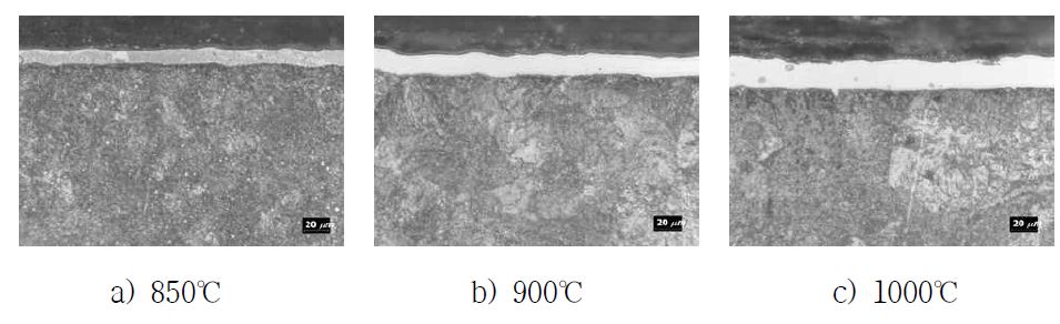 Microstructure of cross section of chromized SUJ2 sintered parts