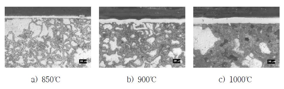 Microstructure of cross section of chromized Fe based sintered parts