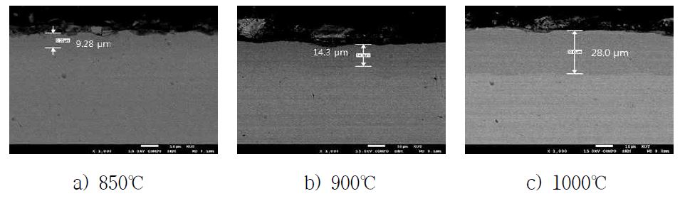 Microstructure of cross section of chromized SUJ2 sintered parts(SEM)