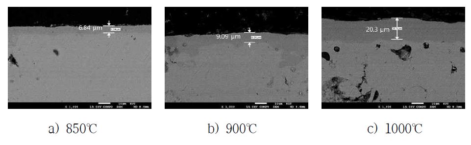 Microstructure of cross section of chromized Fe based sintered parts(SEM)